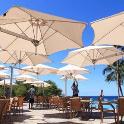 Beach Umbrellas