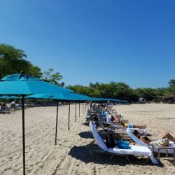 Beach Umbrellas